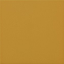 Carpio Amarillo  brillo 20x20