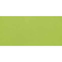 Liso Verde Brillo 10x20