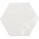 Geometry White Hexagonal 15x17,3 Brillant Cerámica Ribesalbes