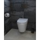 Poissoir WC chasse encastrée SATAT78 Noir Mat de Swiss Aqua Technologies
